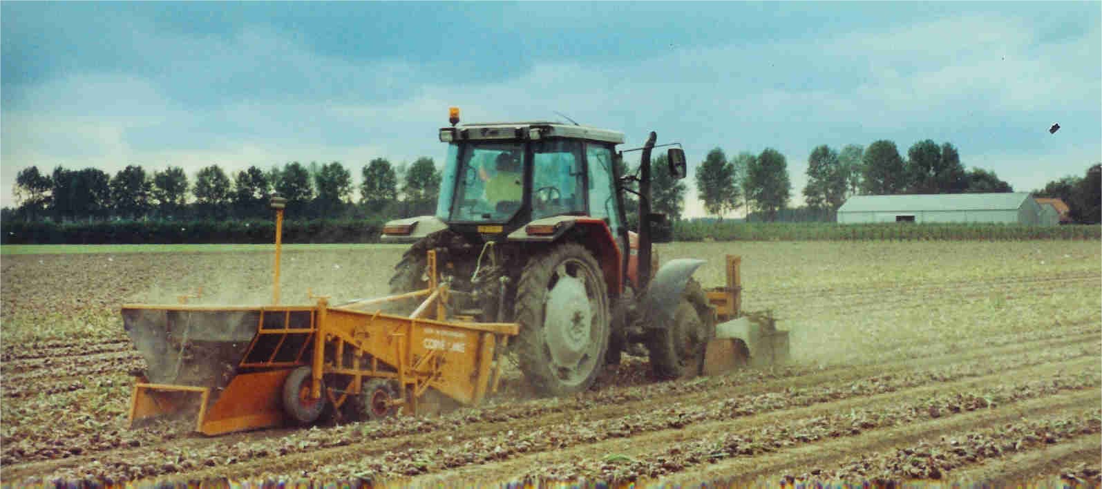 Uienrooier5.jpg (75K)